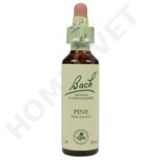 Bach Flower Remedies for Animals - Pine